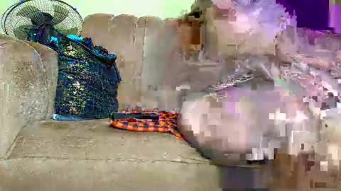 prettytashil200 online show from 05-13-26, 10:56