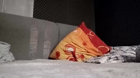 chubbymmm online show from 02-12-25, 12:27