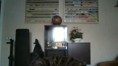 Snapshot of prince__13 chatting on 02-25-26, 10:03 Don online show from 02-25-26, 10:03