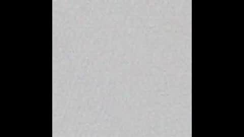 prissyymissyy online show from 02-04-25, 12:29