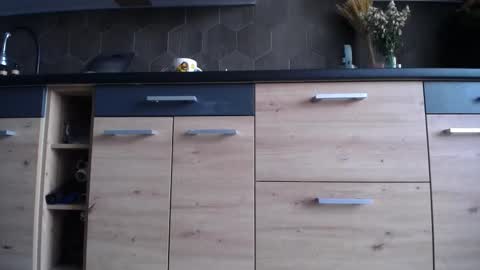 Space online show from 10-03-25, 06:43