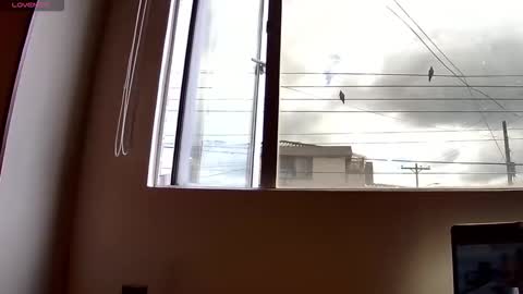 Snapshot of probardetodo chatting on 12-03-25, 02:15 Probardetodo independent model online show from 12-03-25, 02:15