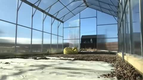 Queen of Pain online show from 03-09-25, 10:30