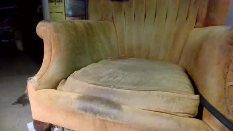 pspee313 online show from 10-31-25, 11:06