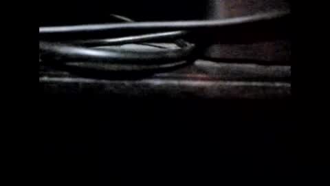 StefiTV1 online show from 06-07-26, 03:21