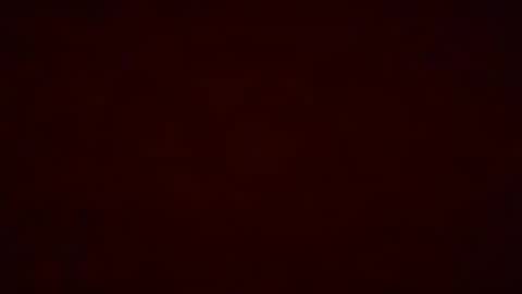 Pumpkin bunny online show from 12-19-25, 12:28