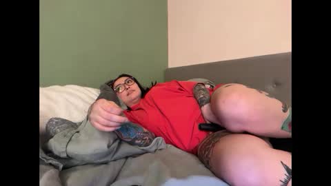 Pumpkin bunny online show from 04-11-26, 07:02