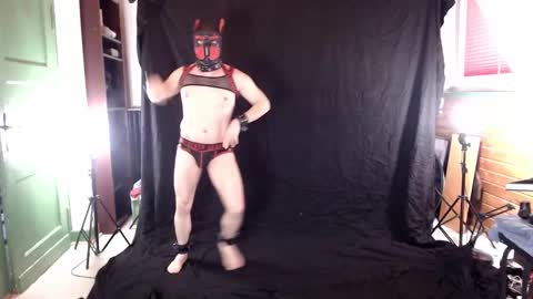 Pup Jake wants to play online show from 03-08-25, 01:03