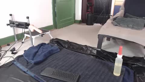 Pup Jake wants to play online show from 03-24-26, 09:14