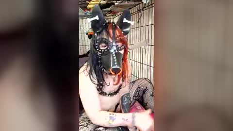 Pup Maxie HeHim online show from 07-31-26, 06:29