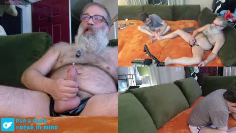 Pup And Papa bear online show from 05-23-26, 01:44
