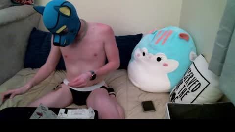 Pup Orion online show from 12-19-24, 12:34