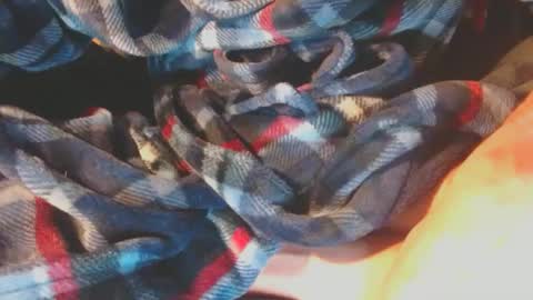 Pup Scrote online show from 01-17-25, 03:12