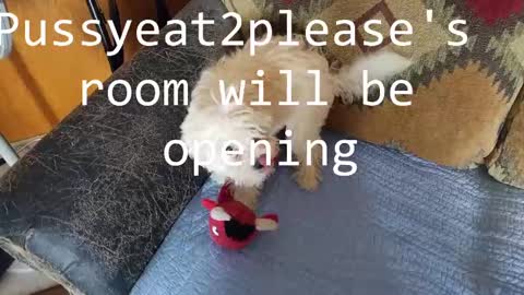 Rick online show from 03-09-25, 06:43