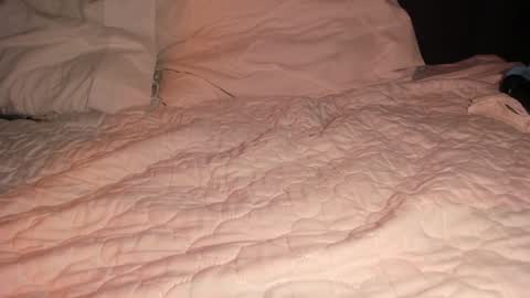 Sophy online show from 01-26-25, 04:41