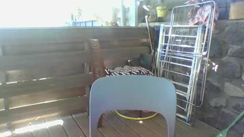 Python online show from 04-06-26, 04:46