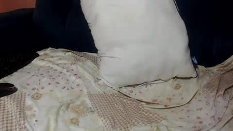 queenchloe1 online show from 07-20-26, 10:50