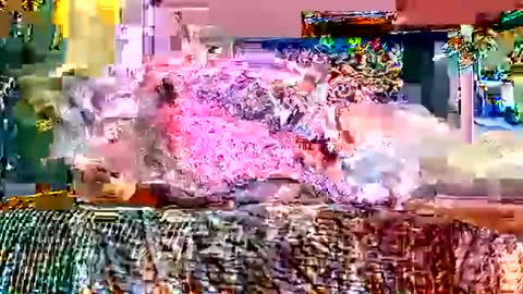 Snapshot of queenstonermami chatting on 02-02-26, 10:25 queenstonermami online show from 02-02-26, 10:25