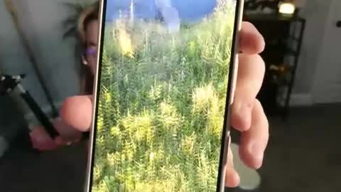 Snapshot of quervoqueen1 chatting on 11-17-25, 03:34 Bri online show from 11-17-25, 03:34