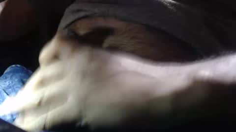 oilypanda online show from 12-16-24, 11:28