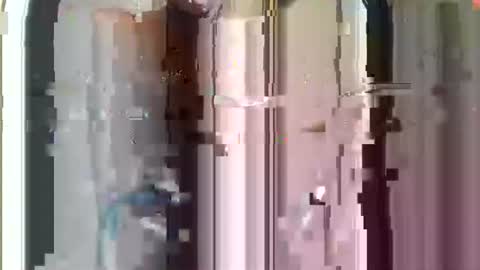 r04233054 online show from 11-29-25, 08:50