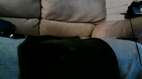Snapshot of r3710 chatting on 12-10-24, 06:28 Bi daddy online show from 12-10-24, 06:28