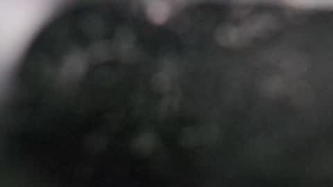 Dmitry online show from 03-11-25, 07:58