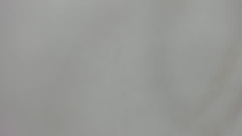 Raf Koons online show from 07-22-26, 03:09