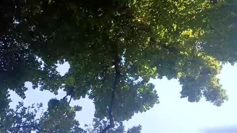 Snapshot of ragingzef69 chatting on 02-02-25, 06:26 Bigthickdickinvic online show from 02-02-25, 06:26