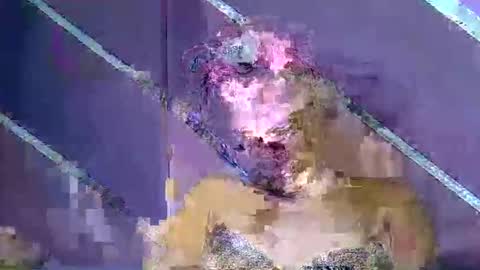 rainbow baby26 online show from 03-07-26, 10:29