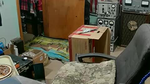 Snapshot of randalltotazz chatting on 11-23-25, 11:26 Randall online show from 11-23-25, 11:26