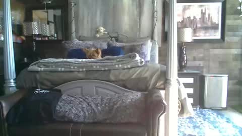 Snapshot of randybater8in chatting on 01-18-26, 08:12 Randy8inbater online show from 01-18-26, 08:12