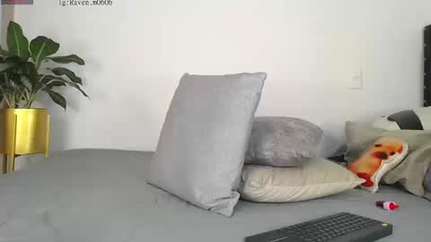 Snapshot of raven06_ chatting on 09-19-25, 03:45 Raven online show from 09-19-25, 03:45