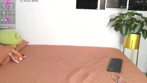 Snapshot of raven06_ chatting on 11-04-25, 12:10 Raven online show from 11-04-25, 12:10