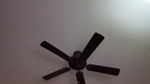 ravenhawk7 online show from 09-11-25, 02:55