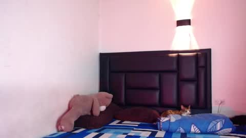 Snapshot of raydevil_ chatting on 10-17-25, 07:33 Rayn online show from 10-17-25, 07:33