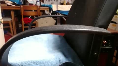 Snapshot of raysmith77777777 chatting on 11-04-25, 12:04 Ray online show from 11-04-25, 12:04