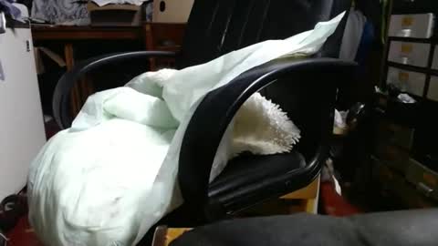 Snapshot of raysmith77777777 chatting on 04-29-26, 11:03 Ray online show from 04-29-26, 11:03