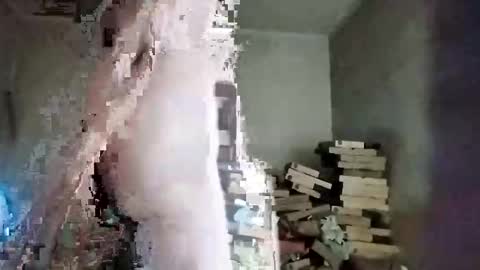 Snapshot of rdcervetto81 chatting on 02-11-26, 08:08 rdcervetto81 online show from 02-11-26, 08:08