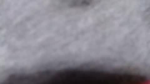 ready2fuk647232 online show from 11-02-25, 09:44