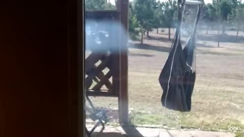 Snapshot of ready4aride2day chatting on 02-18-26, 03:52 ready4aride2day online show from 02-18-26, 03:52