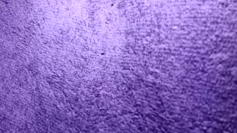 Snapshot of reafrio chatting on 10-21-25, 06:30 Rasta online show from 10-21-25, 06:30