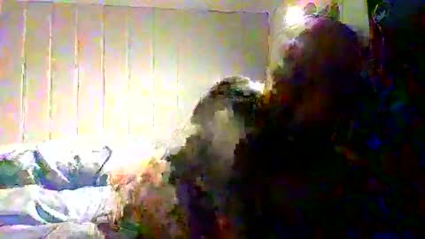 real_viking1 online show from 11-22-25, 08:13