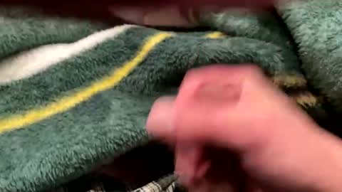 Snapshot of realbigload77 chatting on 02-24-26, 04:32 realbigload77 online show from 02-24-26, 04:32