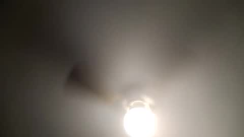 red24devils online show from 01-04-25, 06:09