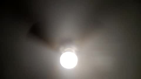 red24devils online show from 01-16-25, 07:07