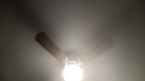 red24devils online show from 03-12-25, 05:13