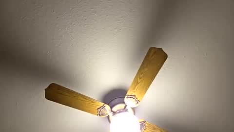 red24devils online show from 03-05-26, 01:56