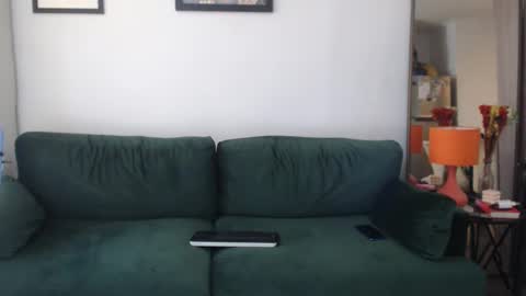 Snapshot of redfloweer chatting on 01-29-25, 06:07 redfloweer online show from 01-29-25, 06:07