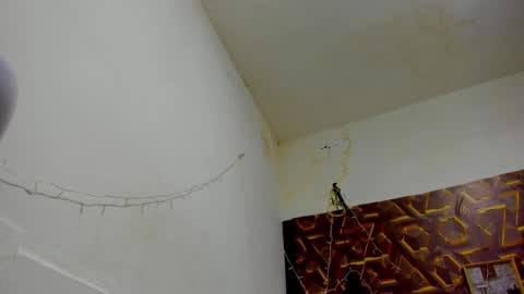 Snapshot of reed_kitty chatting on 12-15-25, 12:42 reed_kitty online show from 12-15-25, 12:42